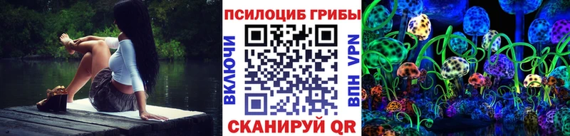 Псилоцибиновые грибы мицелий Купить Инта